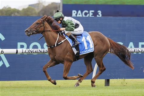 Rosehill Trial Report .